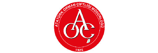 Asis Mekanik Mühendislik